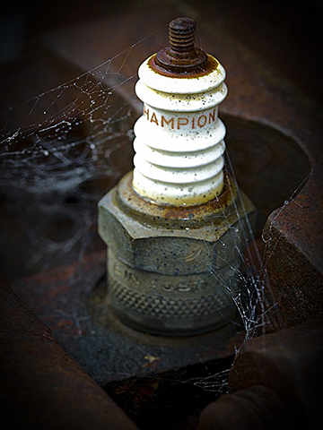 Retired ChampionPhotography by Phil Bell